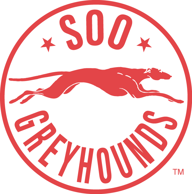 Sault Ste. Marie Greyhounds 1985-1995 alternate logo iron on transfers for clothing